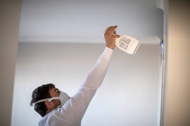 Best Same-Day Mold Removal  in Chico, WA