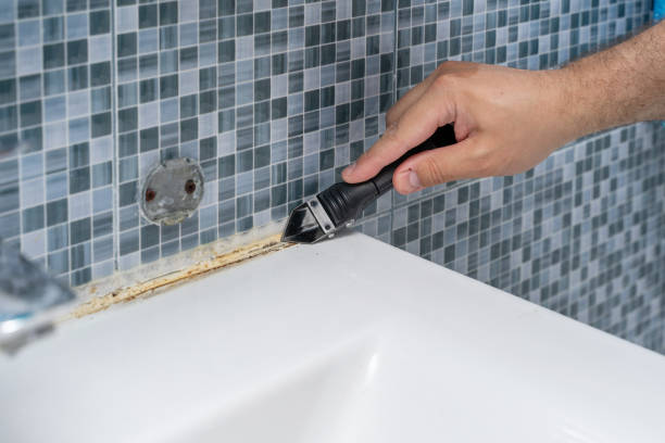 Best Fast Mold Removal  in Chico, WA